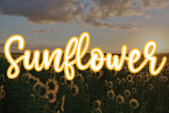 Script Fonts